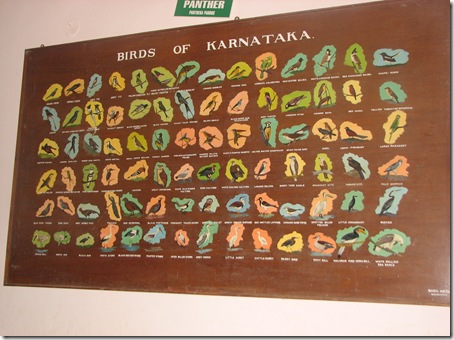 birds of karnataka