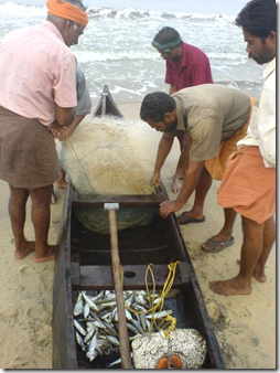 Cherai Beach - fishing