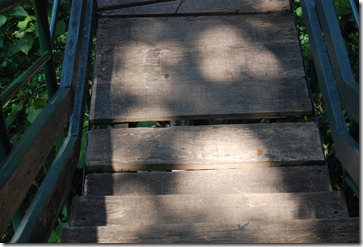 Shaky wooden planks at thenmala