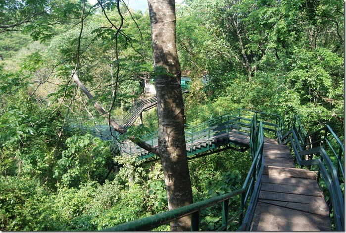 Elevated walkway in Thenmala