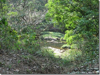 View of kulathupuzha river from main road