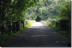 Vazhachal bridge