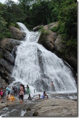 Monkeyfalls near Aliyar