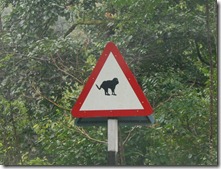 Rare road sign in India
