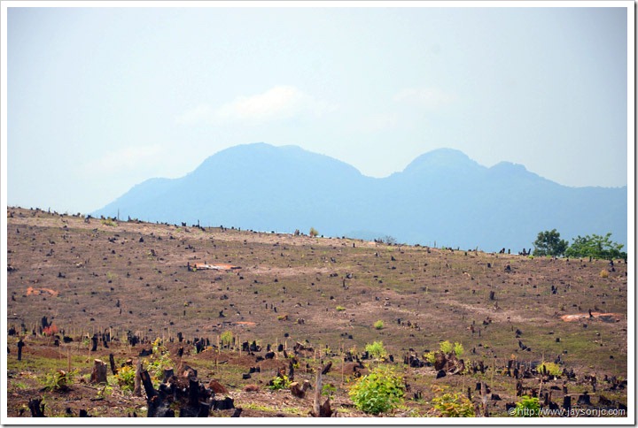 View of the western ghats on the way to Peppara wildlife sanctuary