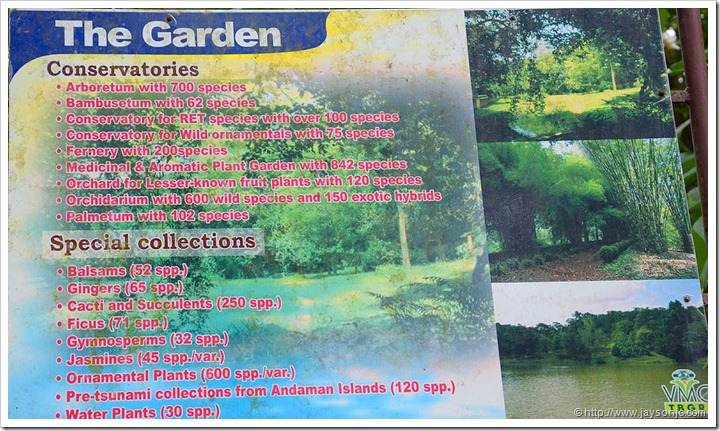 List of plan species in Palode botanical garden - TBGRI