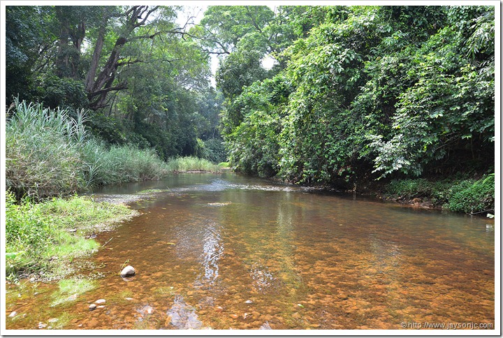 Kallar River - Dukes Forest Lodge