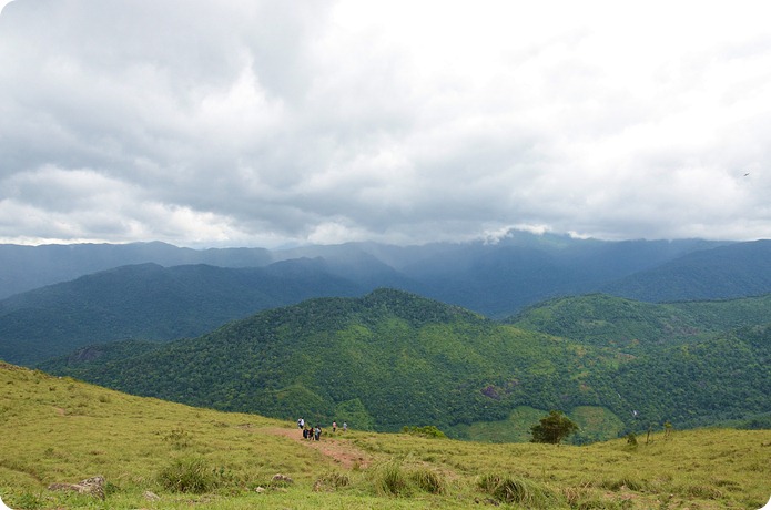 View from Ponmudi Top