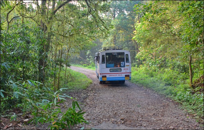 The real ordinary bus in Gavi