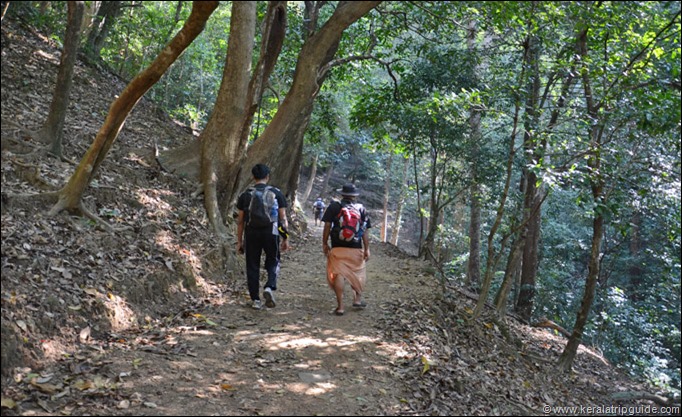Bonacaud Karamana river trek trail