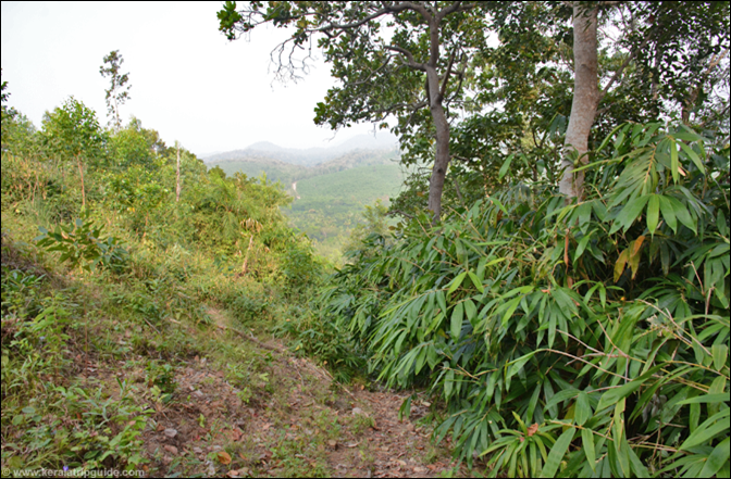 View of Peringamala from the initial trail to Varayattumotta