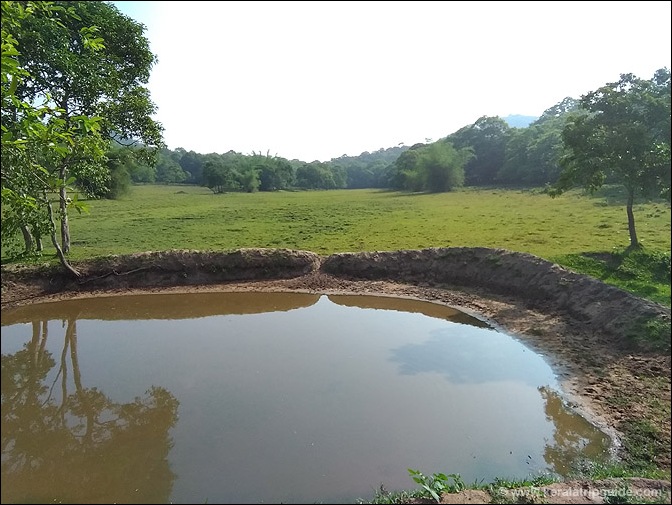 Artificial water pond along the trek trail for animals