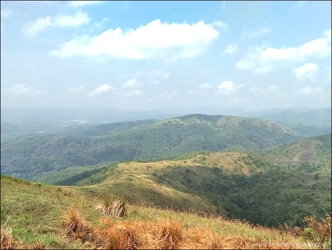 View of periyar lake from the mountain top